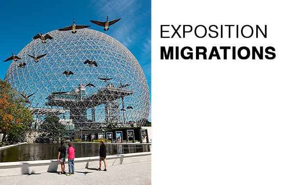 L’exposition Migrations débute à la Biosphère de Montréal